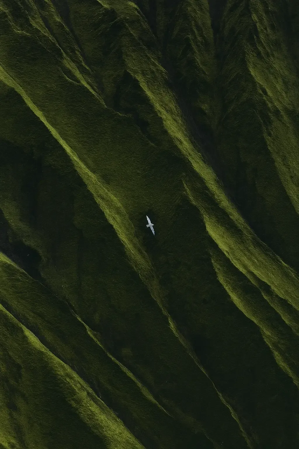 faq-background